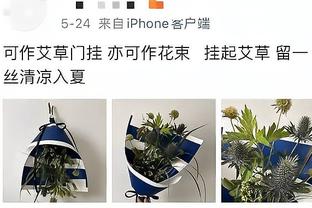 多诺万：很多错误是我们自己造成的 这令人很失落